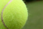 Tennis ball